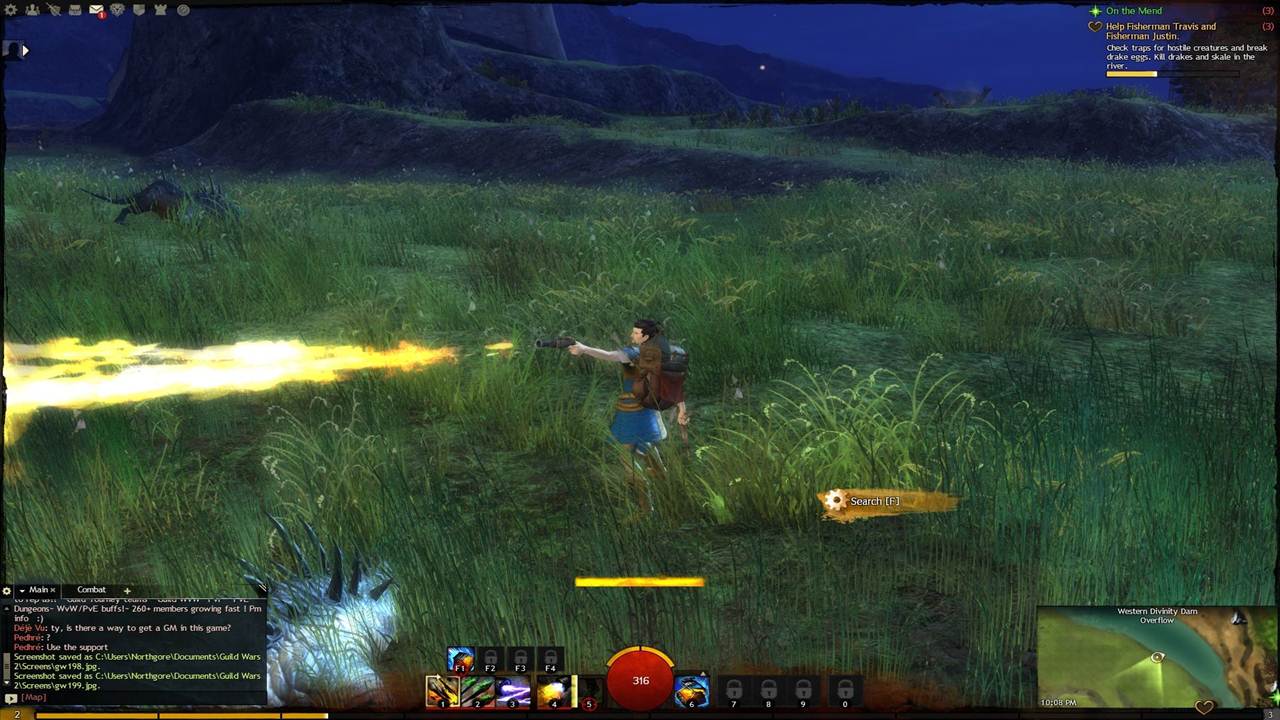 Rise Through Tyria: My Journey with Guild Wars 2 Boosting Service and Why It's a Game-Changer