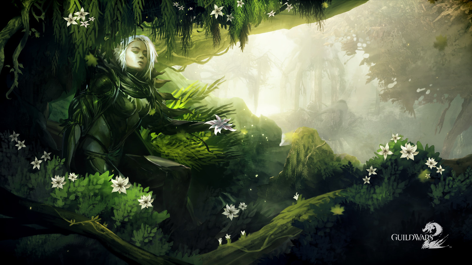 Rise Through Tyria: My Journey with Guild Wars 2 Boosting Services