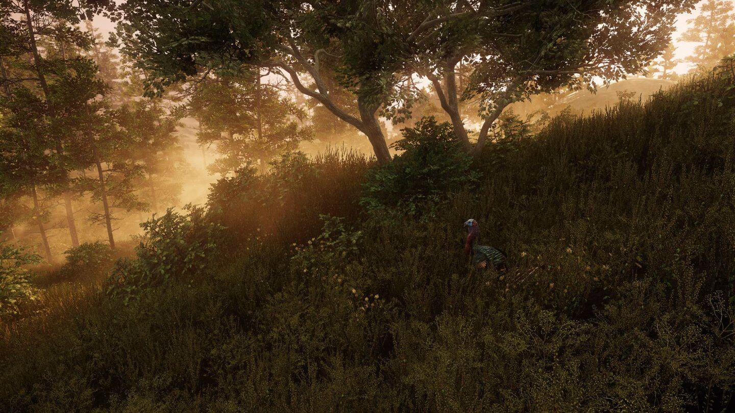 Rise Above Aeternum: How New World Boosting Services Transformed My Gameplay