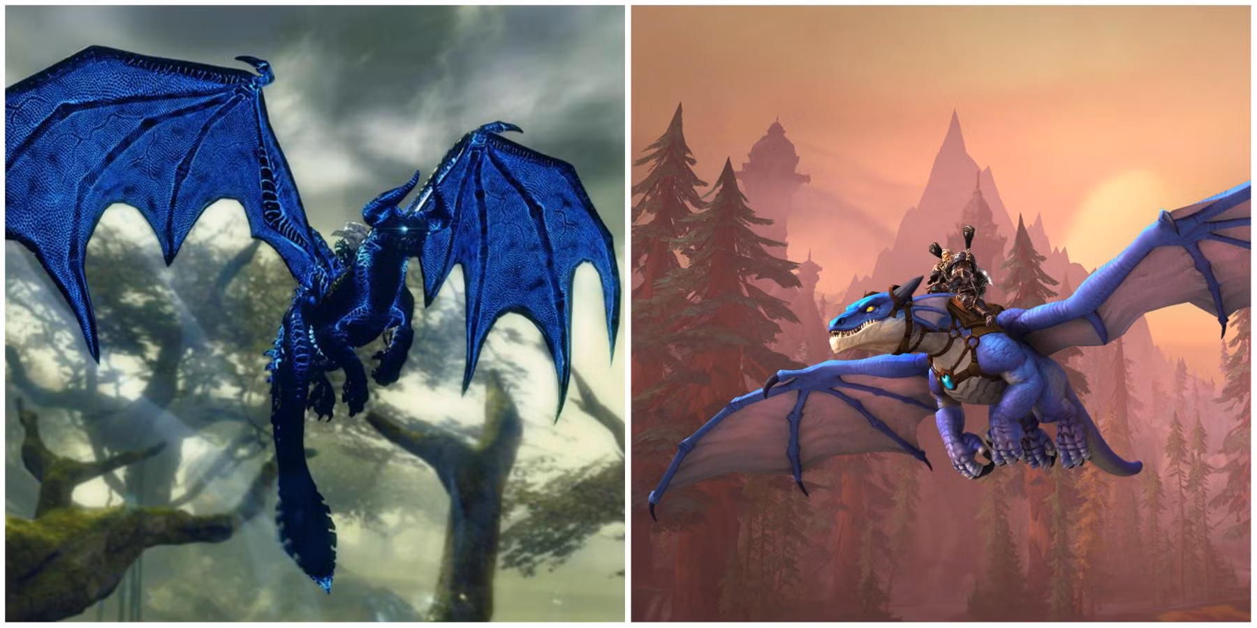 Soar the Skies in Style: Why I Chose to Buy GW2 Skyscale Boosting